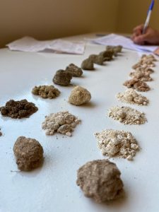 WhatsApp Image 2024-10-01 at 17.13.51